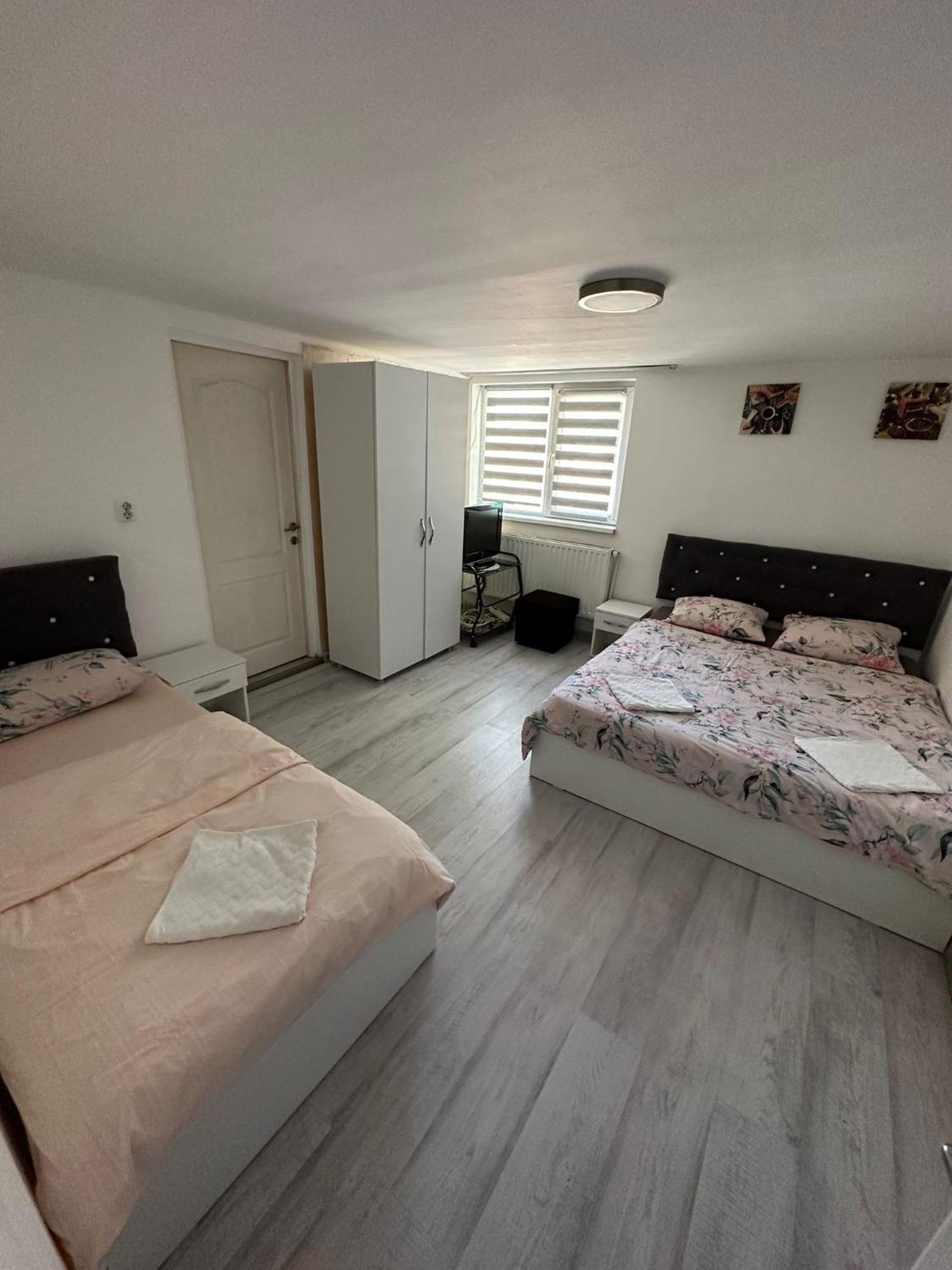 Gigios Sport&Relax Villa Bailesti Exterior photo